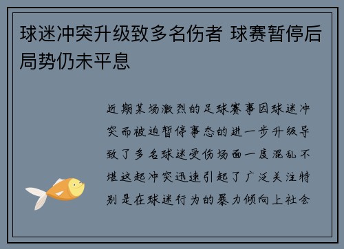 球迷冲突升级致多名伤者 球赛暂停后局势仍未平息